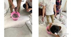 建涂堡華中區(qū)技術服務行——湖北